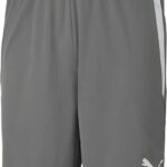 Puma Korte Broek Teamliga Shorts 13 - Sportswear - Volwassen