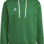adidas Performance Entrada 22 Sweat Hoodie - Heren - Groen