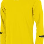 Hummel Fyn Voetbalshirt Lange Mouw Heren - Geel / Zwart | Maat: L