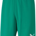 Puma Teamrise Short Heren - Groen | Maat: L