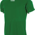 Hummel Fyn Shirt Korte Mouw Heren - Groen / Wit | Maat: M