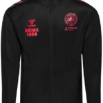 Ziptraining shirt Hummel DBU FS 2022/23