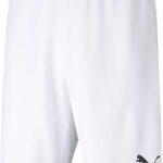 Puma teamRISE Short Heren - Maat L