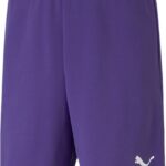 Puma Teamrise Short Kinderen - Paars | Maat: 164