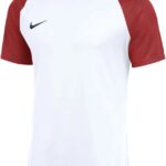 Nike Team T-shirt Heren Dri-FIT Academy II Wit-Bordeauxrood - Maat L