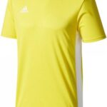 Adidas Entrada 18 Shirt Korte Mouw Kinderen - Geel / Wit | Maat: 128
