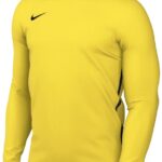 Nike Team Sweater Heren Dri-FIT Park 26 Crew Top Geel - Maat L