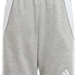 adidas Short Kinderen Tiro 24 Sweat Grijs - Maat 128cm