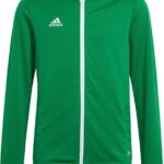 adidas - Entrada 22 Track Jacket Youth - Groene Jas Kids-164