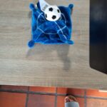 club brugge dou dou