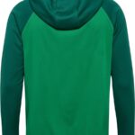 Hummel Lead 2.0 Zip Hoodie 223759 Jelly Bean/Evergreen-M