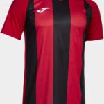 Joma Inter Iv T-shirt Met Korte Mouwen Rood 2XL Man