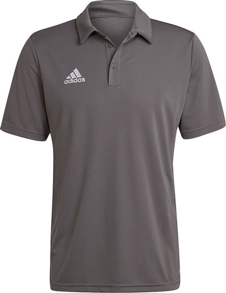 928x1200-4 adidas Entrada 22 Polo - sportpolo's - Grey - Mannen - Afbeelding 1