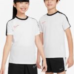 Nike Dri-Fit Academy 23 Shirt