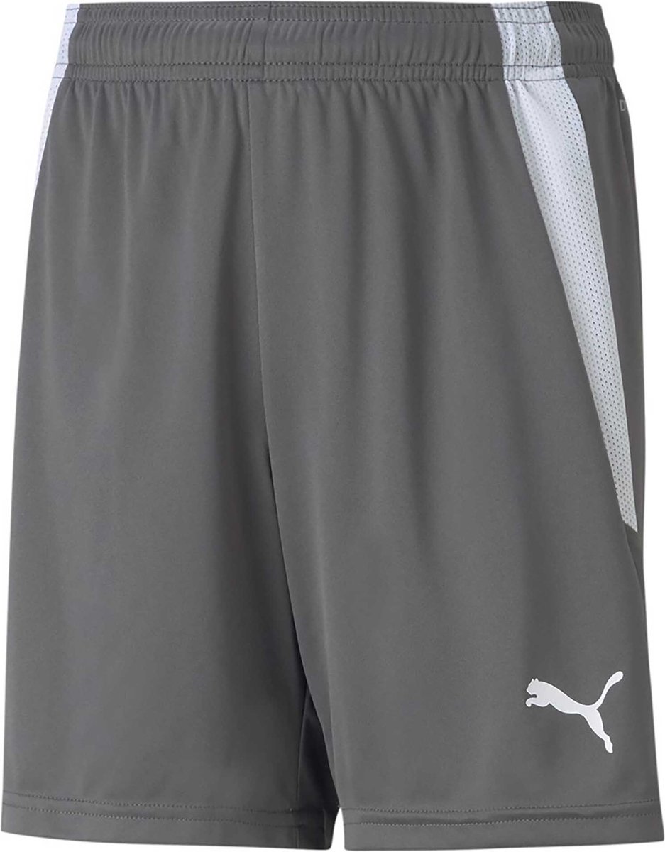 937x1200-8 Puma Teamliga Short Kinderen - Grijs | Maat: 164 - Afbeelding 1