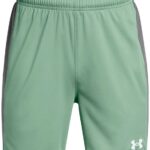 Under Armour Challenger Knit Korte Broek Groen 7 Years Jongens