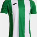 Joma Inter IV Shirt Korte Mouw Heren - Groen / Wit | Maat: M