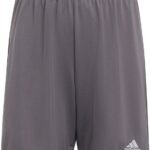 adidas Performance Entrada 22 Short - Kinderen - Grijs - 116