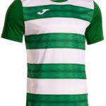 Joma Europa Vi T-shirt Met Korte Mouwen Groen L Man
