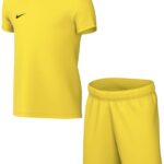 Nike Team Set Sport Kinderen DRY Park Kit Set Geel - Maat L