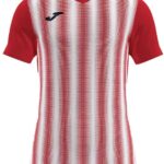 Joma Inter Ii T-shirt Met Korte Mouwen Rood 2XL Man