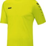 Heren Sportshirt Team Jersey - Ademend en Sneldrogend Trainingsshirt