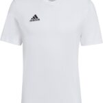 Adidas Entrada 22 T-Shirt Heren - Wit | Maat: L