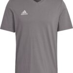 adidas Performance Entrada 22 T-shirt - Heren - Grijs