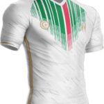 Voetbalshirt Palestina met Palestijnse Vlag Kleuren & Symbolen - Steun & Solidariteit